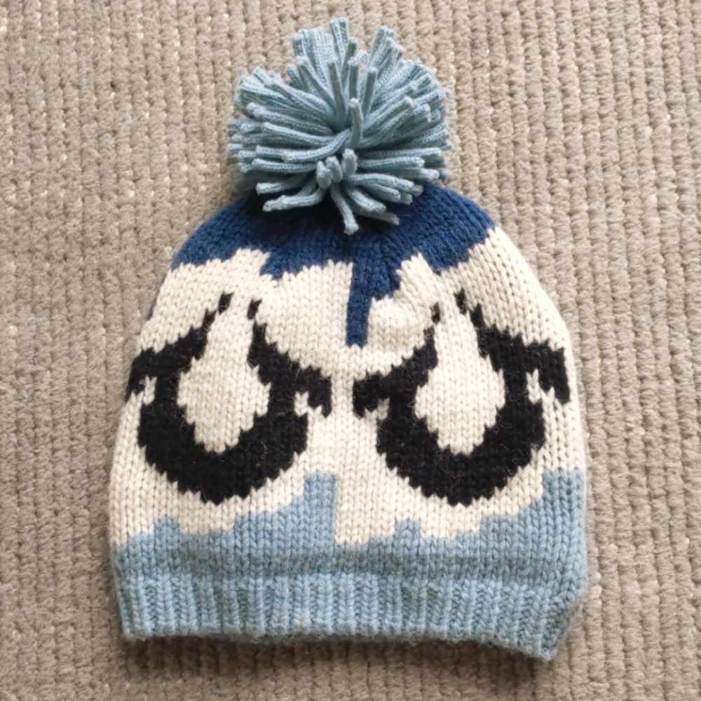 NWOT True Religion Pom Pom Hat Beanie